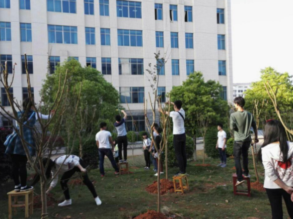 学生实操----紫薇整形修剪实践