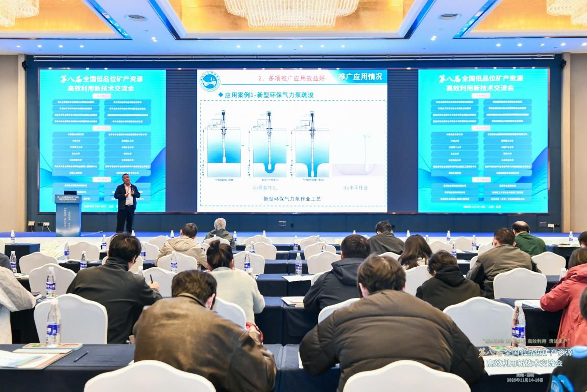 贝博教师参加第八届全国低品位矿产资源高效利用新技术交流会